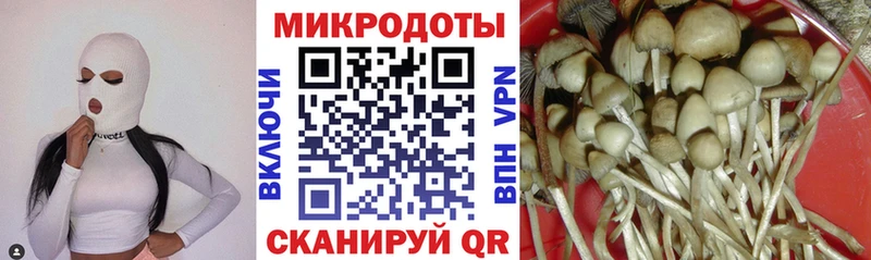 наркошоп  Купино  Галлюциногенные грибы MAGIC MUSHROOMS 